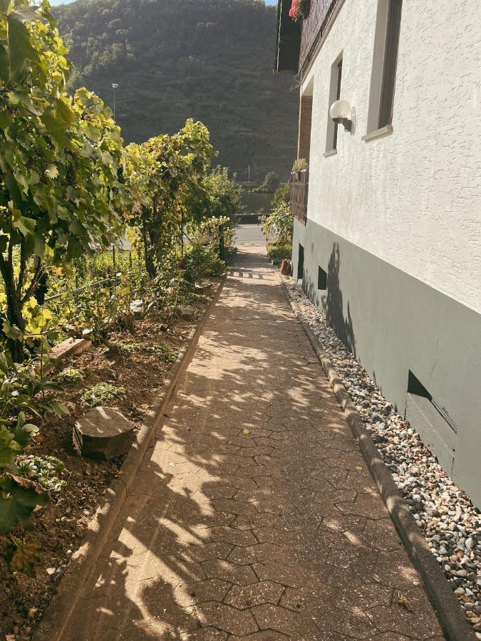 Ferienwohnung Moselflair Mit Direktem Blick Auf Die Mosel Und Weinberge Oberfell Bagian luar foto